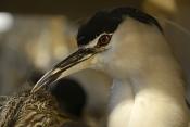 natura docet denekamp 4-2022 2202
